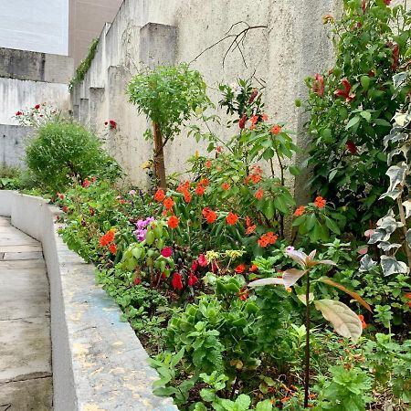 קוריטיבה 205- Apartamento 1 Quarto Suite, Encantador, Amplo E Decorado, Mobiliario Moderno, Cozinha Completa Com Utensilios , Excelente Vista Da Cidade E Localizacao Privelegiada No Bairro Bigorrilho , מראה חיצוני תמונה